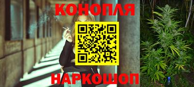 индика Гусиноозёрск