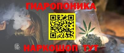 ALPHA PVP Гусев
